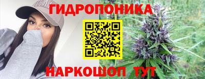 бошки Славгород