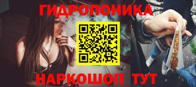 экстази Сланцы