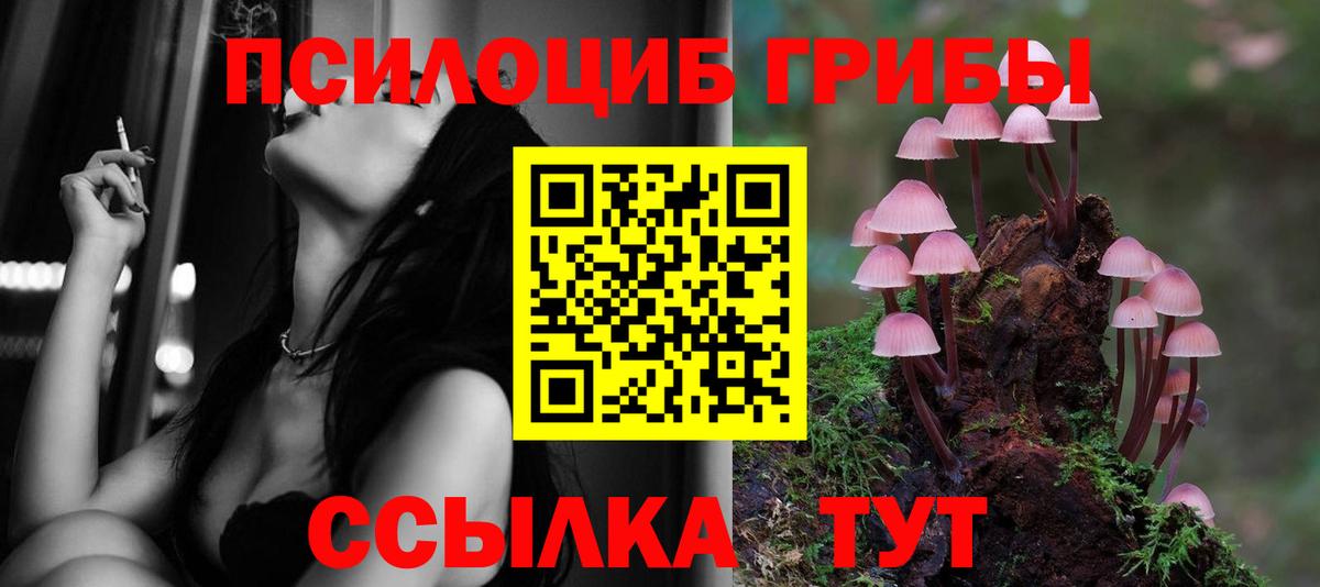 цена наркотик  Вход с VPN  Сердобск  Галлюциногенные грибы Cubensis  Галлюциногенные грибы мицелий 